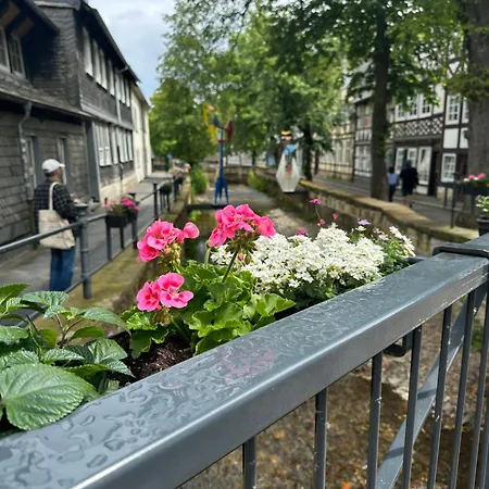 Haus Eule * Bad Harzburg